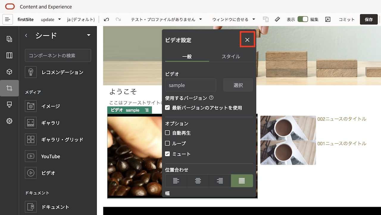 Video Assetsの選択